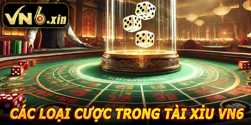 Các Loại Cược Trong Tài Xỉu VN6