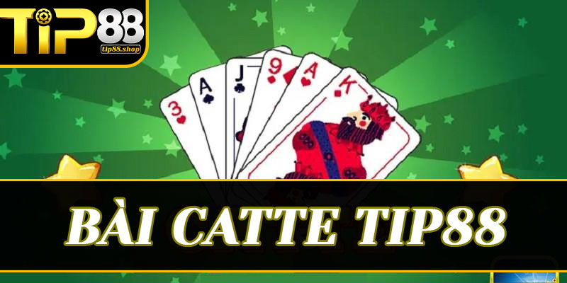 Giải mã luật chơi Bài catte tại Tip88 chuẩn xác nhất cho người mới