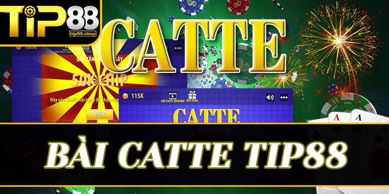 Cẩm nang toàn tập về Bài catte Tip88: Từ "tay mơ" thành chuyên gia săn thưởng