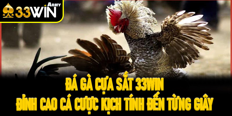 Đá Gà Cựa Sắt 33Win – Đỉnh cao cá cược kịch tính đến từng giây