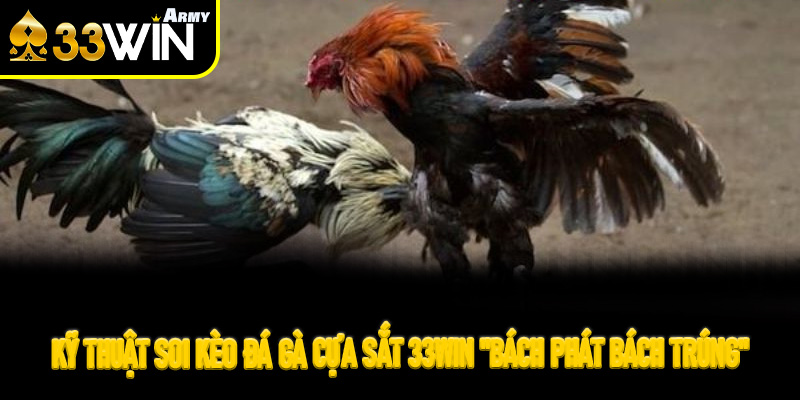 Kỹ thuật soi kèo Đá Gà Cựa Sắt 33Win "bách phát bách trúng"