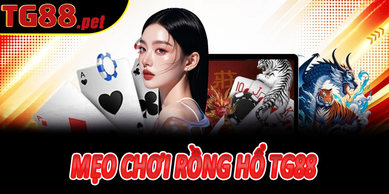 rồng hổ